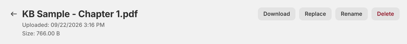 File detail page header with the Download, Replace, Rename and Delete buttons at the top right